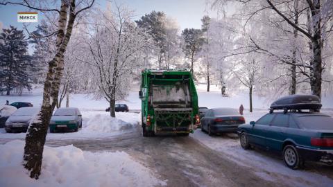 В Минске действует акция по утилизации новогодних деревьев