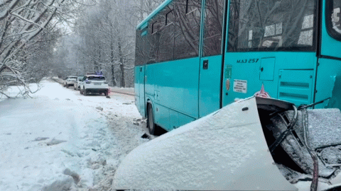 Легковушка врезалась в автобус под Полоцком