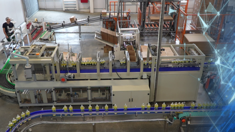 Почти 600 тысяч тонн шрота масличных культур реализовали через универсальную товарную биржу по итогам 2025 года