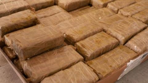 154 килограмма психотропа – белорусские таможенники пресекли крупный канал контрабанды