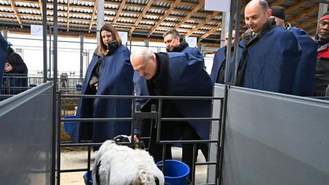 Мне нужен конкретный результат! Подробности визита Лукашенко на МТК «Нестановичи-Агро»