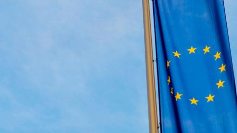 Пилкингтон: ЕС хочет смены власти в Венгрии ради вступления Киева в блок