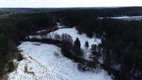 В заказнике «Селява» планируют создать туристический кластер