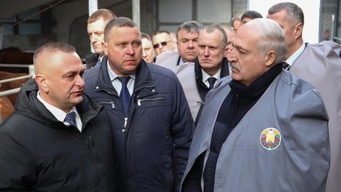 «Ниже – нельзя!» Какую задачу поставил Лукашенко аграриям по урожаю в 2026 году?