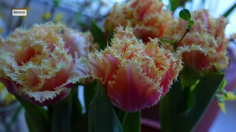 Ботанический сад