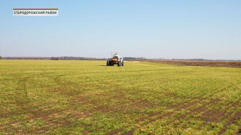 Весенний день год кормит – в Беларуси набирают оборот полевые работы