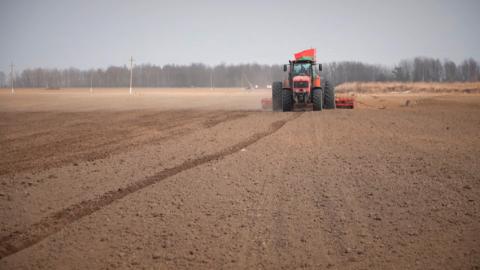 На полях Беларуси идет масштабная посевная кампания