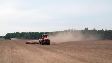 Ранними яровыми культурами засеяно свыше 40% запланированных площадей