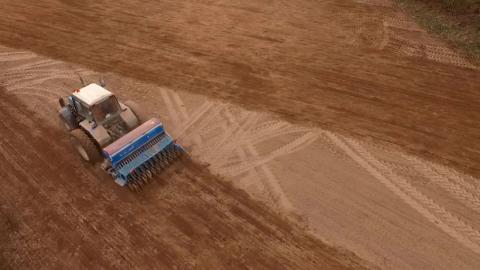 Посевная-2026. Площади под картофель в Беларуси в текущем году вырастут до 22 тыс. га