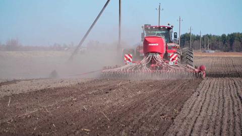 В Гомельской области приступили к севу ранних яровых