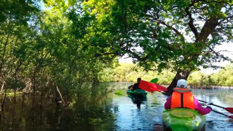 Сезон «Моря Геродота» открыт в Национальном парке «Припятский»