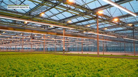 Тепличный комплекс