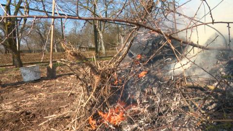 В Беларуси действует полный запрет на выжигание сухой травы