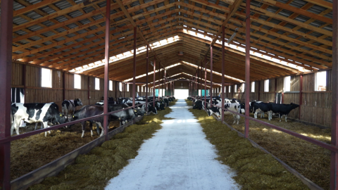 Беларусь в 2025 году установила исторический рекорд по экспорту продовольствия