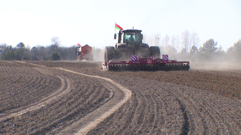 Собственную платформу для управления агропромышленным комплексом создают в Беларуси