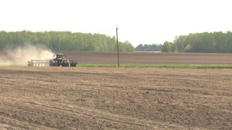 К севу ранних яровых зерновых и зернобобовых культур хозяйства приступили во всех регионах страны