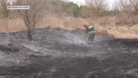Первый весенний месяц в 2026 году может оказаться не только одним из самых теплых, но и сухим за всю историю наблюдений