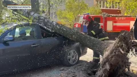 Непогода на Могилевщине