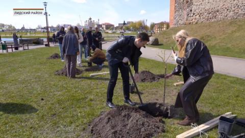 Блогеры в Лиде