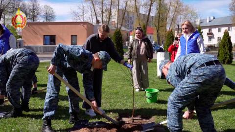 В Беларуси стартовала акция Белорусского союза женщин по закладке яблоневых садов