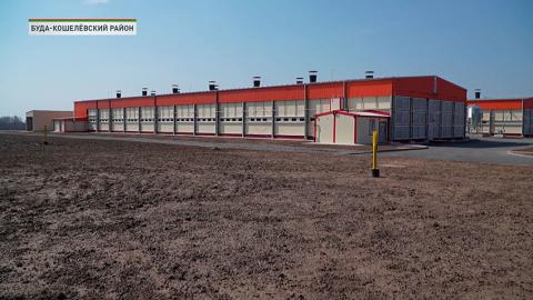 Буда-Кошелево