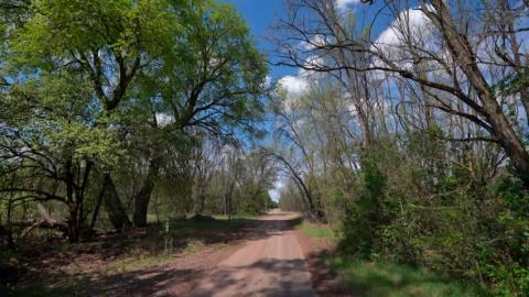 Доля загрязненных территорий в Беларуси после аварии на ЧАЭС сократилась до 12%