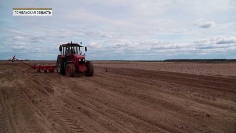 В Гомельской области успешно завершили сев ранних яровых зерновых