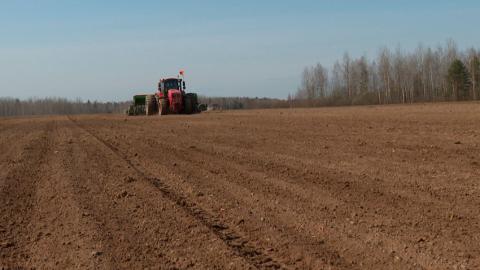 Яровые культуры в Беларуси посеяны на 21 % площадей