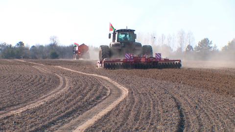 В Беларуси засеяно 33 % площадей яровых культур