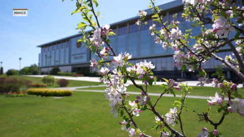 Александр Лукашенко провел телефонный разговор с Президентом Ирана Масудом Пезешкианом