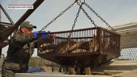 Рыбхозы Беларуси