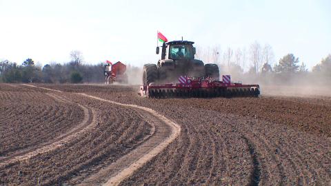 Аграрии Брестской области приступили к севу кукурузы