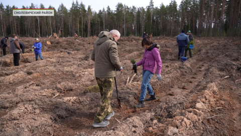 В Беларуси продолжается масштабная экологическая акция «Лес! Дабро! Парадак!», приуроченная к пятилетке качества