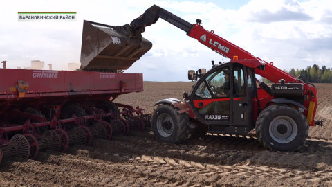 Все регионы также приступили к высадке картофеля