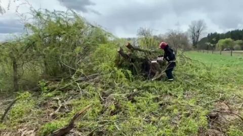 Спасатели продолжают устранять последствия сильного ветра