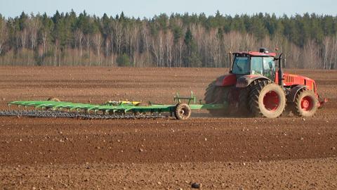 Более 28 тысяч га неиспользуемых земель вовлечены в сельхозоборот в Беларуси 