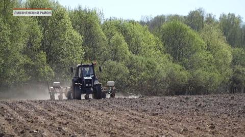 В Беларуси засеяли более  50% от запланированных площадей кукурузы