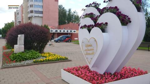 Город в цветах: в Могилев высадят более 1,3 млн саженцев