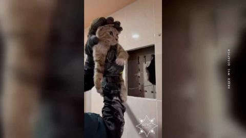 В Витебске сотрудники МЧС спасли кота из вентиляционной шахты дома