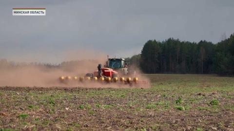В Минской области кукурузу засеяли на площади более 285 тыс. гектаров