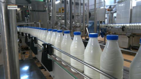 Беларусь обеспечивает около 6% мирового экспорта молочной продукции