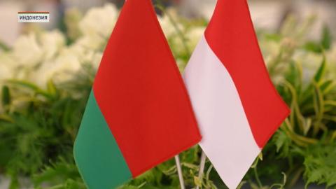 Лукашенко прибыл с официальным визитом в Индонезию