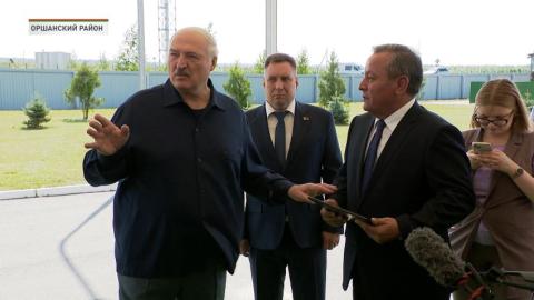 Витебская и Андижанская области договорились о запуске совместного сельхозпроизводства