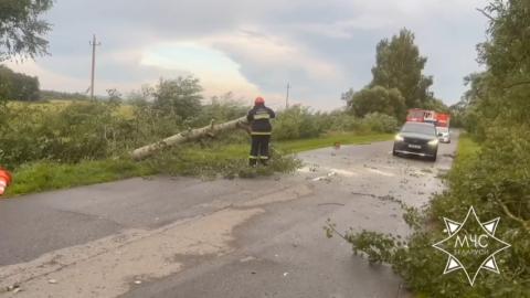 МЧС ликвидировали последствия непогоды в Витебской области и Гомеле
