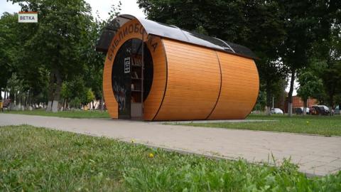 Необычный арт-объект «Библиобочка» установили в центре Ветки