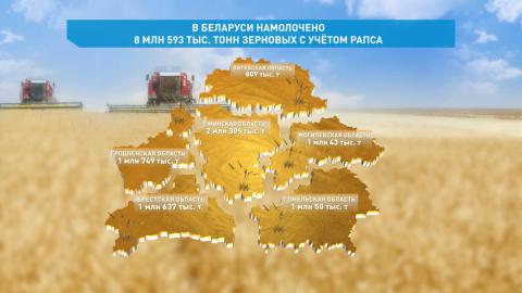 Белорусские аграрии намолотили 8 млн 593 тысячи т зерновых с учетом рапса