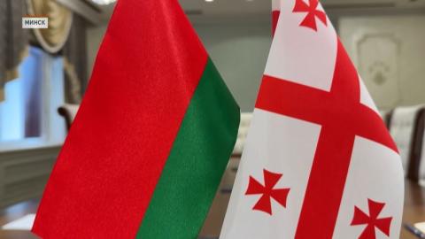 Беларусь и Грузия обсудили взаимодействие в области оказания взаимной помощи по уголовным делам