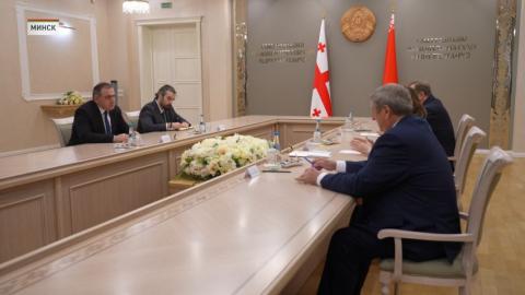 Перспективы межпарламентского сотрудничества Беларуси и Грузии обсудили в Совете Республики