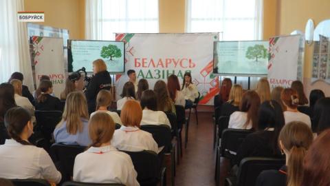 Встречи молодежи в рамках акции «Беларусь адзіная» прошли 8 сентября в Бобруйске и Ляховичах