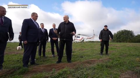 «Мне такие специалисты не нужны»: Лукашенко раскритиковал качество уборки льна в Шкловском районе